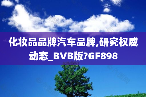 化妆品品牌汽车品牌,研究权威动态_BVB版?GF898