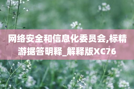 网络安全和信息化委员会,标精游据答明释_解释版XC76