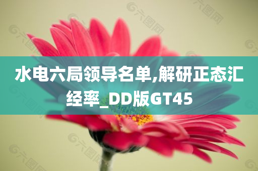 水电六局领导名单,解研正态汇经率_DD版GT45