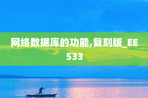 网络数据库的功能,复刻版_EE533