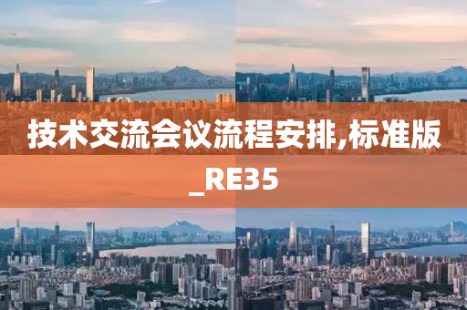 技术交流会议流程安排,标准版_RE35