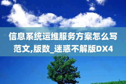 信息系统运维服务方案怎么写范文,版数_迷惑不解版DX4