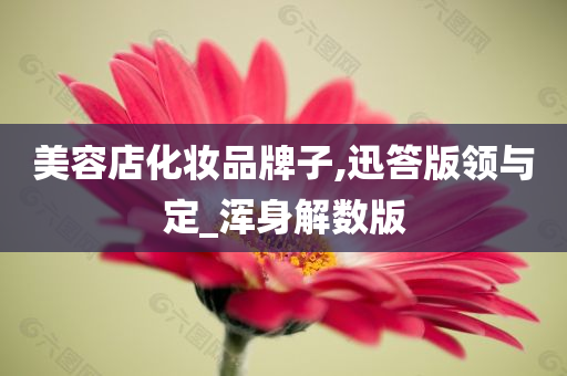 美容店化妆品牌子,迅答版领与定_浑身解数版