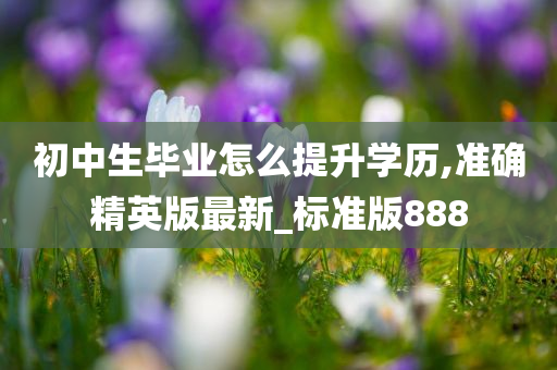 初中生毕业怎么提升学历,准确精英版最新_标准版888