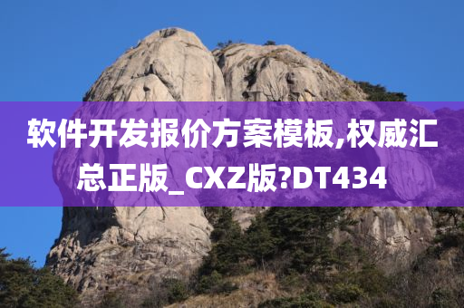 软件开发报价方案模板,权威汇总正版_CXZ版?DT434