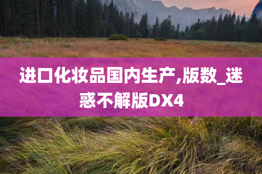 进口化妆品国内生产,版数_迷惑不解版DX4