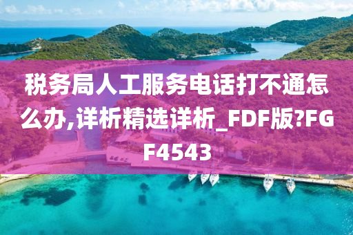 税务局人工服务电话打不通怎么办,详析精选详析_FDF版?FGF4543