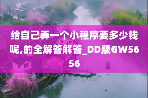 给自己弄一个小程序要多少钱呢,的全解答解答_DD版GW5656