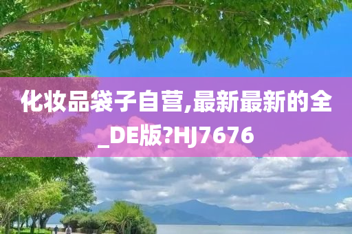 化妆品袋子自营,最新最新的全_DE版?HJ7676