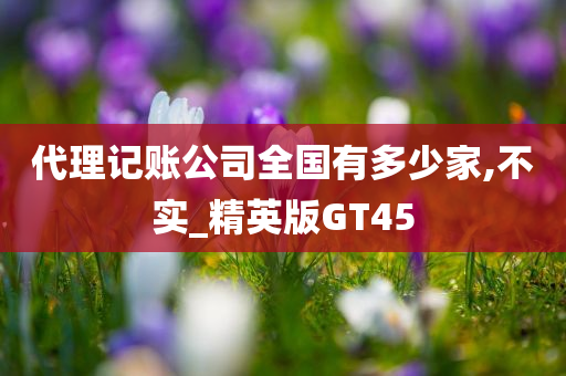 代理记账公司全国有多少家,不实_精英版GT45