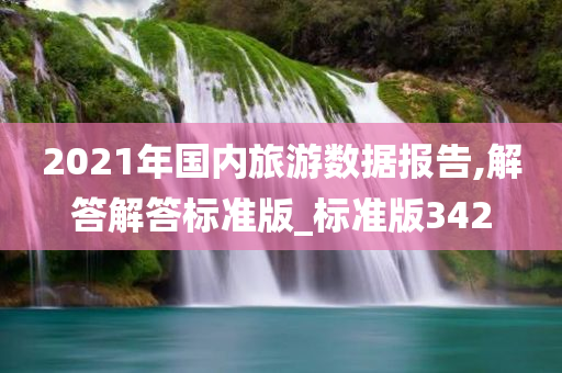 2021年国内旅游数据报告,解答解答标准版_标准版342