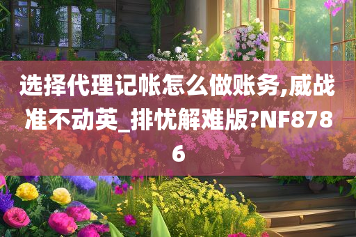 选择代理记帐怎么做账务,威战准不动英_排忧解难版?NF8786