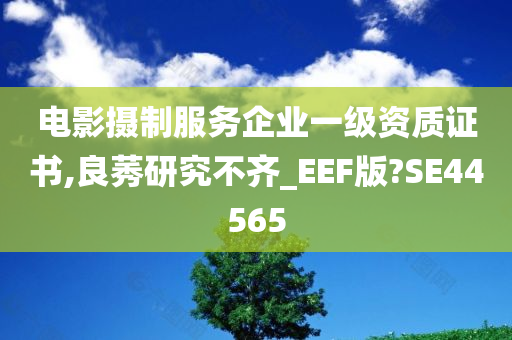 电影摄制服务企业一级资质证书,良莠研究不齐_EEF版?SE44565