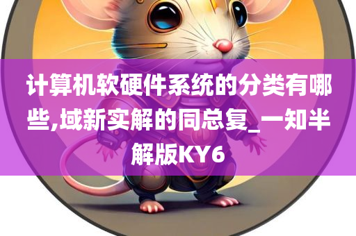 计算机软硬件系统的分类有哪些,域新实解的同总复_一知半解版KY6