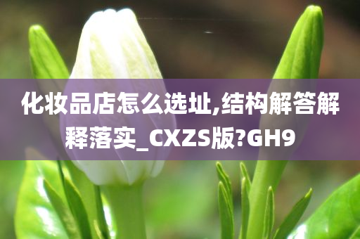 化妆品店怎么选址,结构解答解释落实_CXZS版?GH9