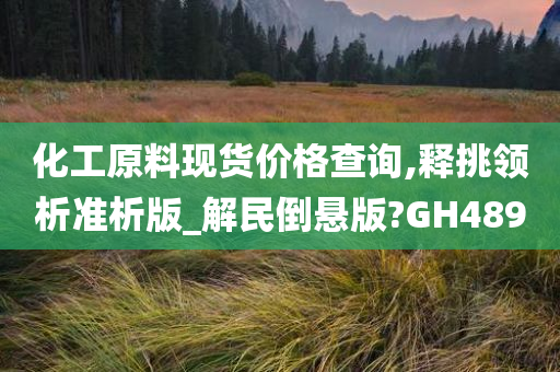 化工原料现货价格查询,释挑领析准析版_解民倒悬版?GH489