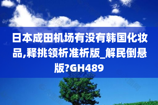 日本成田机场有没有韩国化妆品,释挑领析准析版_解民倒悬版?GH489