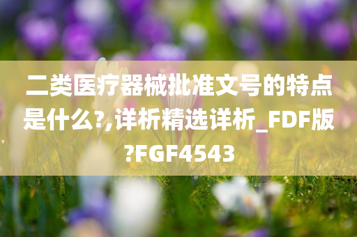 二类医疗器械批准文号的特点是什么?,详析精选详析_FDF版?FGF4543