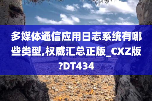 多媒体通信应用日志系统有哪些类型,权威汇总正版_CXZ版?DT434