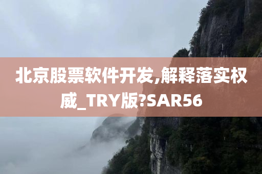 北京股票软件开发,解释落实权威_TRY版?SAR56