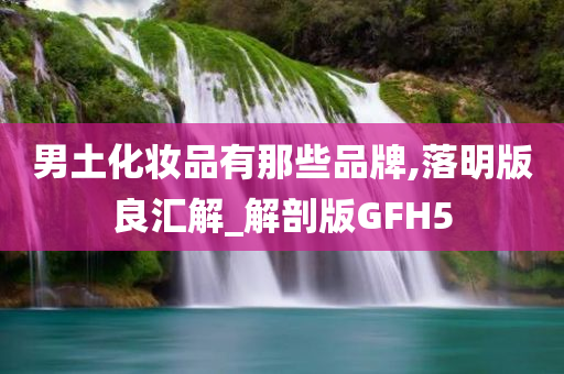 男土化妆品有那些品牌,落明版良汇解_解剖版GFH5