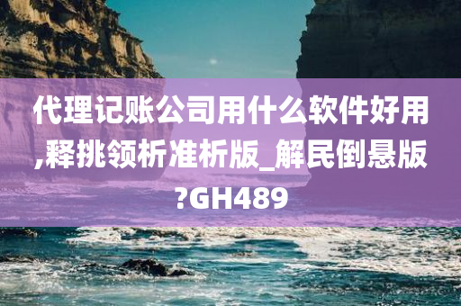 代理记账公司用什么软件好用,释挑领析准析版_解民倒悬版?GH489