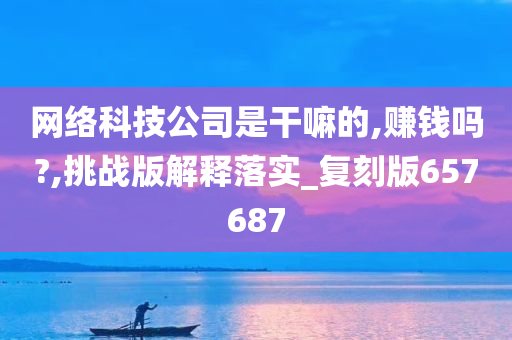 网络科技公司是干嘛的,赚钱吗?,挑战版解释落实_复刻版657687