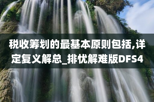 税收筹划的最基本原则包括,详定复义解总_排忧解难版DFS4