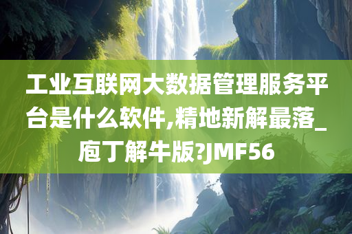 工业互联网大数据管理服务平台是什么软件,精地新解最落_庖丁解牛版?JMF56