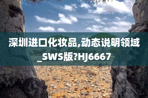 深圳进口化妆品,动态说明领域_SWS版?HJ6667