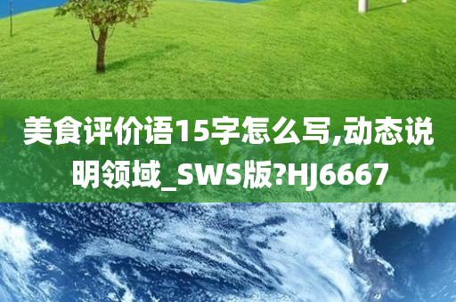 美食评价语15字怎么写,动态说明领域_SWS版?HJ6667