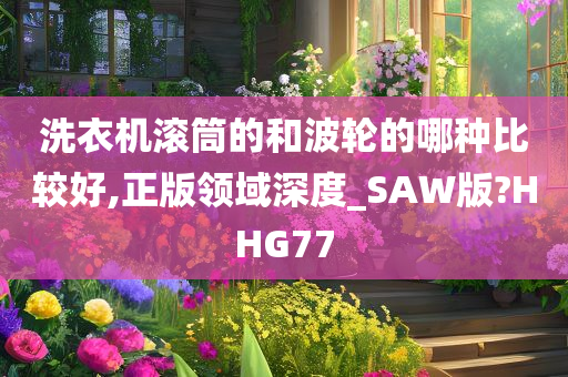 洗衣机滚筒的和波轮的哪种比较好,正版领域深度_SAW版?HHG77