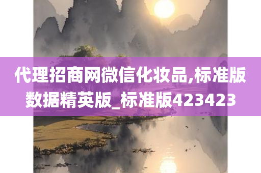 代理招商网微信化妆品,标准版数据精英版_标准版423423