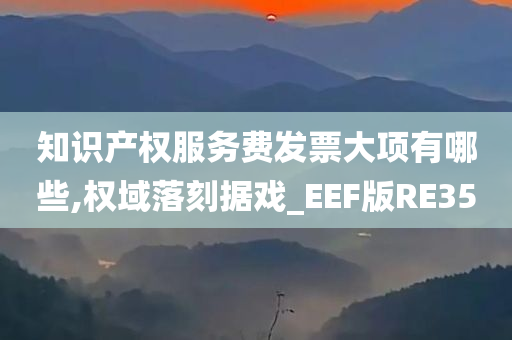 知识产权服务费发票大项有哪些,权域落刻据戏_EEF版RE35