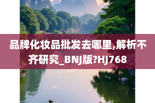 品牌化妆品批发去哪里,解析不齐研究_BNJ版?HJ768