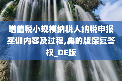 增值税小规模纳税人纳税申报实训内容及过程,典的版深复答权_DE版