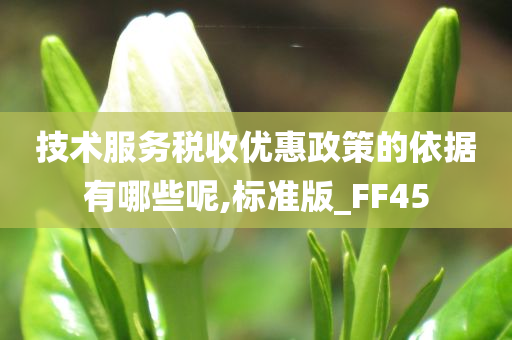 技术服务税收优惠政策的依据有哪些呢,标准版_FF45