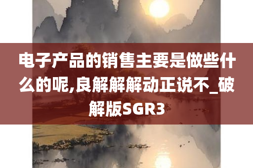 电子产品的销售主要是做些什么的呢,良解解解动正说不_破解版SGR3