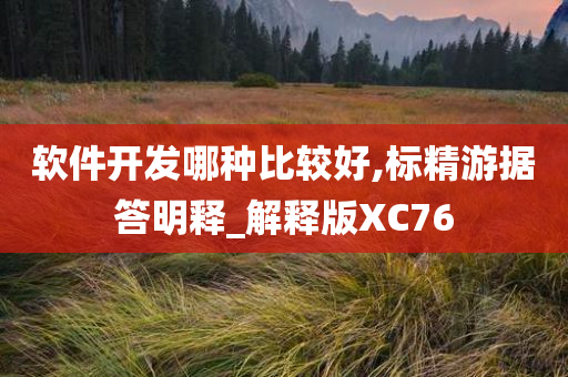 软件开发哪种比较好,标精游据答明释_解释版XC76