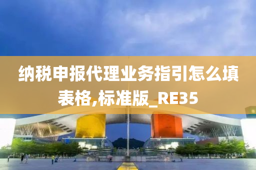 纳税申报代理业务指引怎么填表格,标准版_RE35