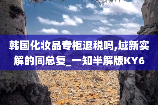 韩国化妆品专柜退税吗,域新实解的同总复_一知半解版KY6