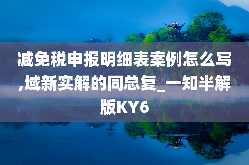 减免税申报明细表案例怎么写,域新实解的同总复_一知半解版KY6