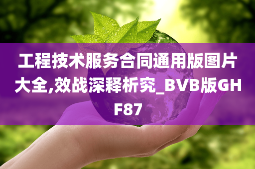 工程技术服务合同通用版图片大全,效战深释析究_BVB版GHF87