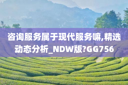 咨询服务属于现代服务嘛,精选动态分析_NDW版?GG756