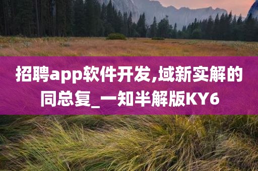 招聘app软件开发,域新实解的同总复_一知半解版KY6