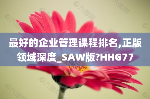 最好的企业管理课程排名,正版领域深度_SAW版?HHG77