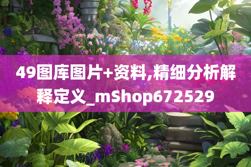 49图库图片+资料,精细分析解释定义_mShop672529