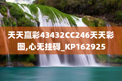 天天赢彩43432CC246天天彩图,心无挂碍_KP162925