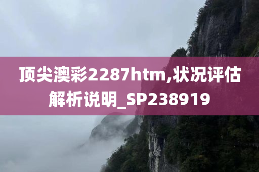 顶尖澳彩2287htm,状况评估解析说明_SP238919