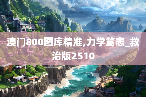 澳门800图库精准,力学笃志_救治版2510